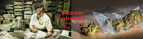 индика Белокуриха