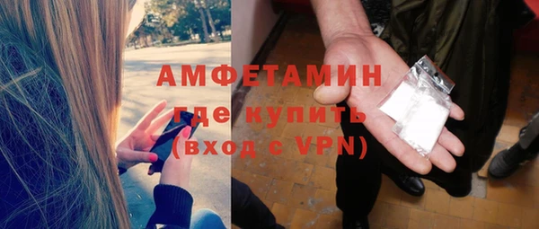 прущие грибы Баксан